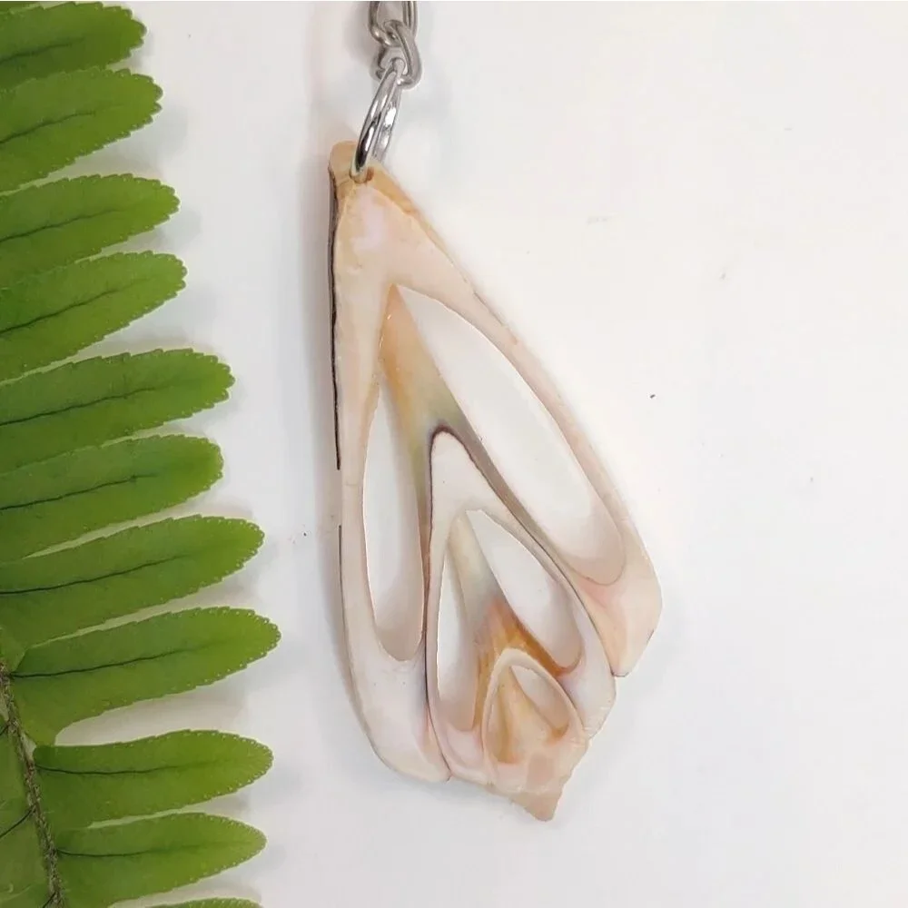 Seashell Keyring Slice Conch Seashell Clearwater Beach, Florida